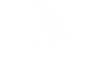 The Designer Label - Home